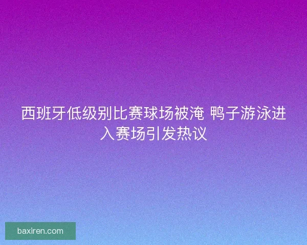 西班牙低级别比赛球场被淹 鸭子游泳进入赛场引发热议 西班牙低级别比赛球场被淹 鸭子游泳进入赛场引发热议
